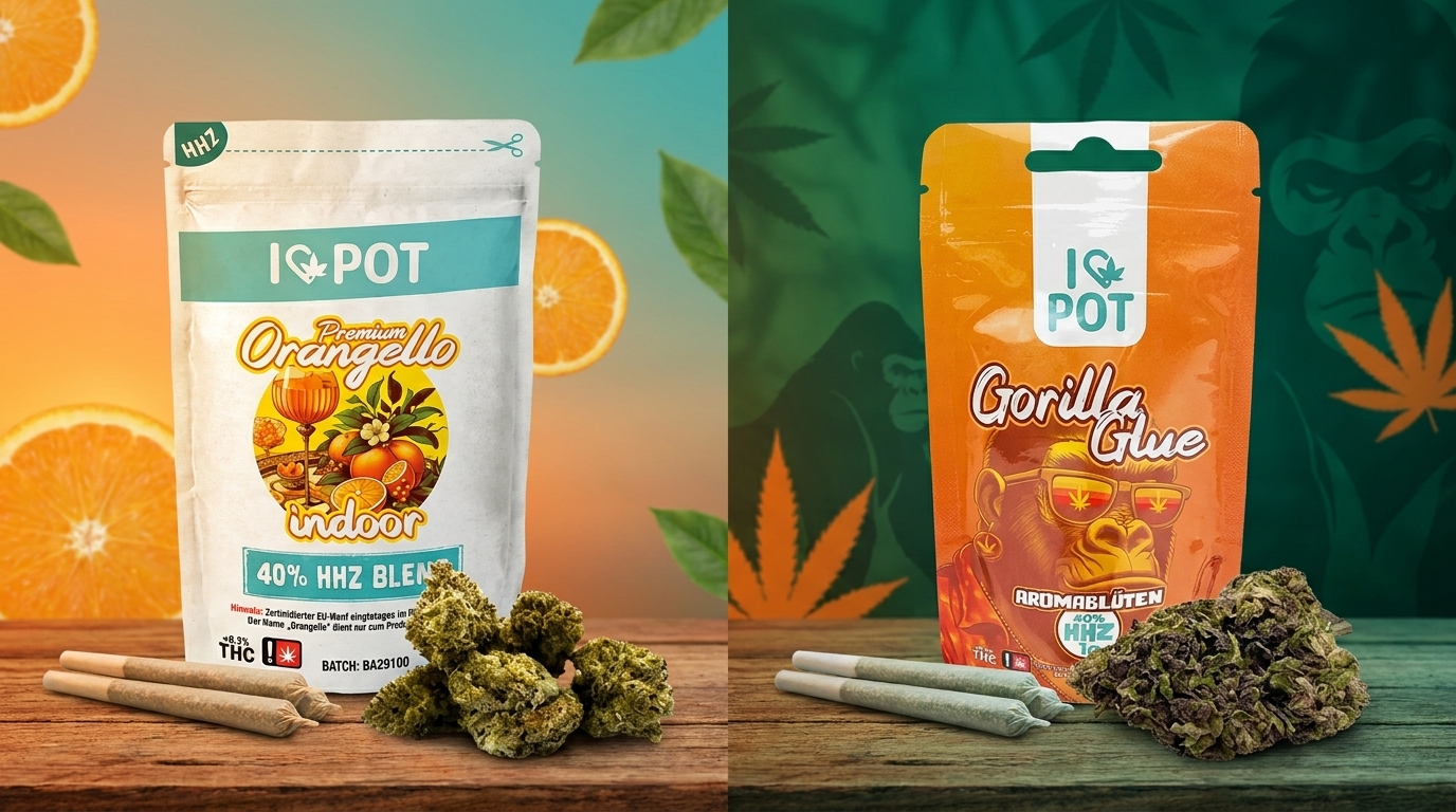 Pre-roll vs. lose Flower – Format comparison using the example of Gorilla Glue & Orangello