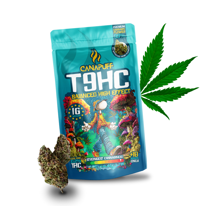 T9HC Flowers Balanced 99% 2g | Cannabude