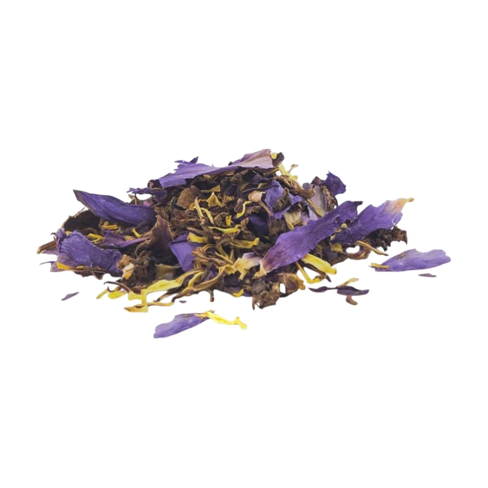 Blauer Lotus Tea
