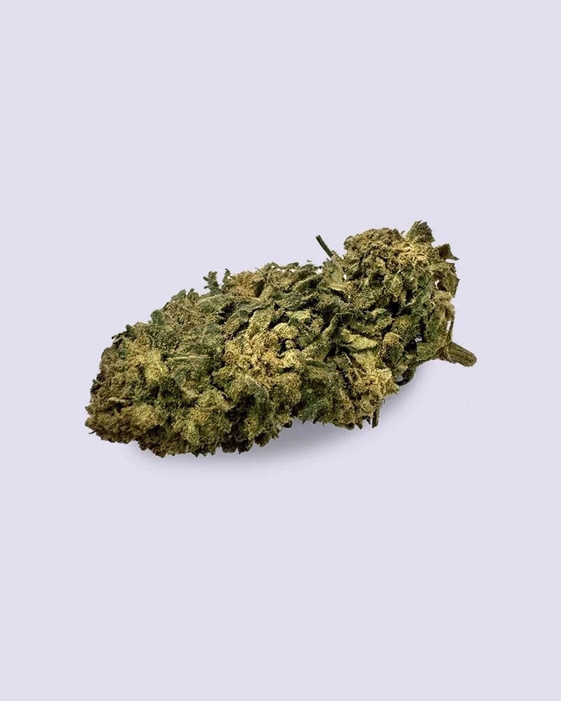 Kwitnienie HHZ - Northern Lights - HHC Vapes